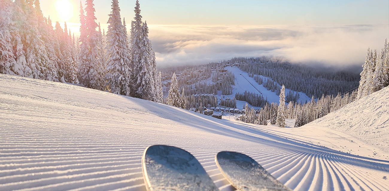 Skis on a groomed snowy slope at sunrise overlooking a pine-covered mountain valley.