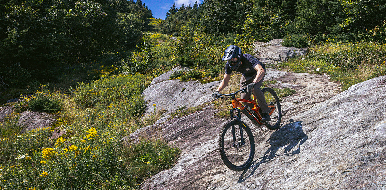 Mountain biker riding down a rocky trail surrounded by green trees and wildflowers.