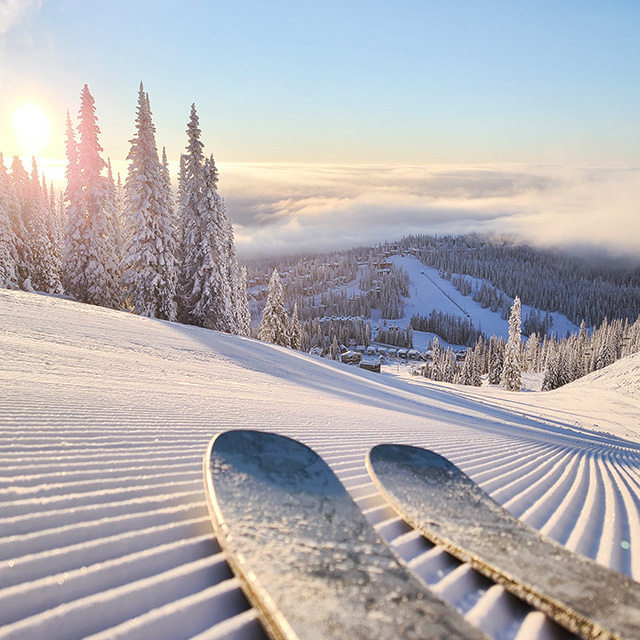 Skis on a groomed snowy slope at sunrise overlooking a pine-covered mountain valley.