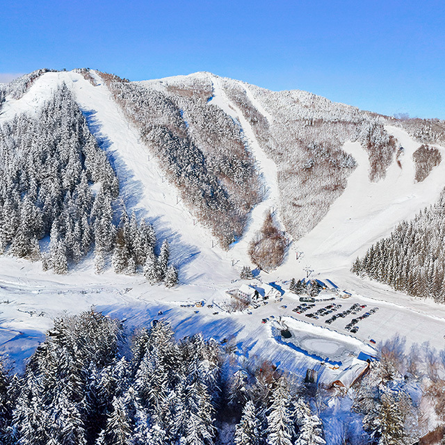 Aerial view of a snowy ski resort with tree-lined slopes and clear blue sky.